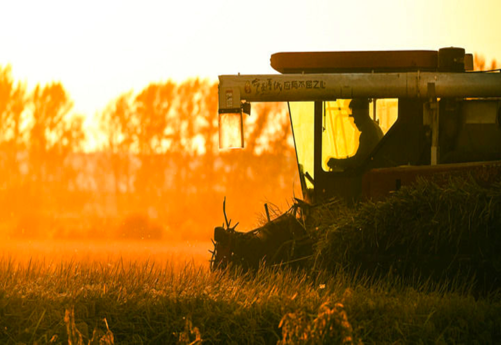 ！“人文”与“经济”辉映共生pg电子模拟